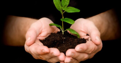 Save Trees, Stop Disaster Save Trees, Stop Disaster